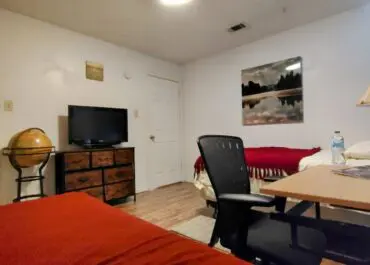 Todd-new-with-tv
