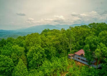 f0d8f7e8-7f7a-4bcc-9845-a68847570981