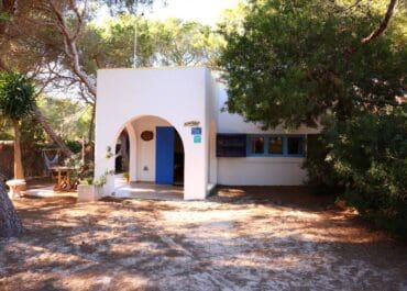 24ae6c28-5459-4f38-94c5-5b9f943a2860