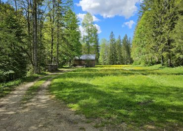 682ed6e2-c3bd-44b4-8f42-7c66036346e2