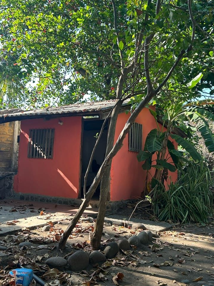 d6c71832-b5ef-4505-9269-9df4240e5324