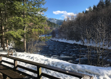 44d89596-ea19-497d-88c7-a0038209e3dc