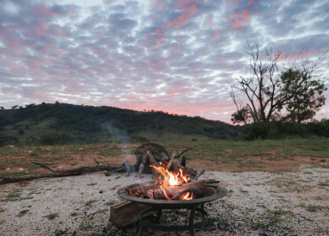 515ad222-347b-4f0f-9ba4-915ff3ed058e