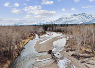 52318cc5-a704-4552-bea0-022d2621d7bd