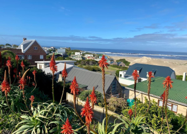 f446b01f-62e4-4776-a02a-6469172205b8