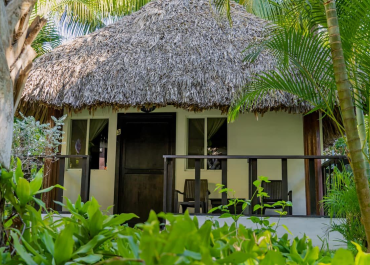 00fe5923-e0ea-475d-96e8-92b973678501