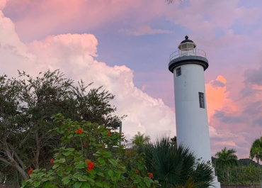 27c46256-3db7-4666-a6dd-8b50b9097c5c