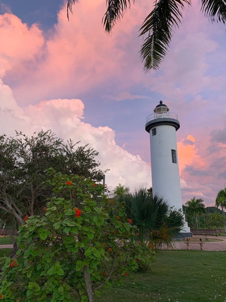 27c46256-3db7-4666-a6dd-8b50b9097c5c