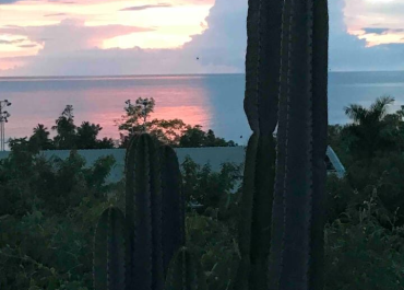 a74f5045-31a4-4cde-803a-b7e588c77fa1