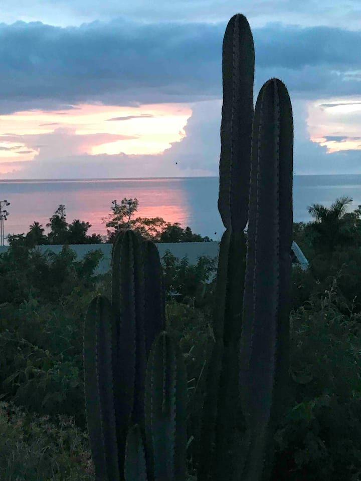 a74f5045-31a4-4cde-803a-b7e588c77fa1