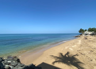 eb7662ca-bcb2-42fa-9d9a-c26c765de856