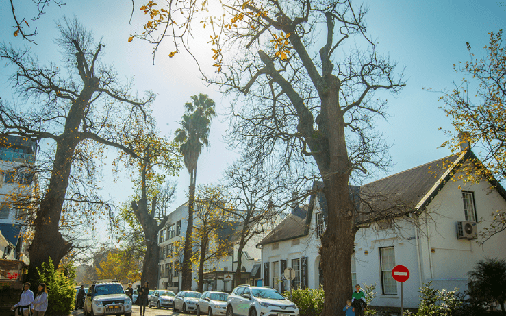 Stellenbosch