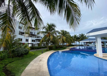 55334776-5927-49ec-8ad2-40a5964faa1d-1